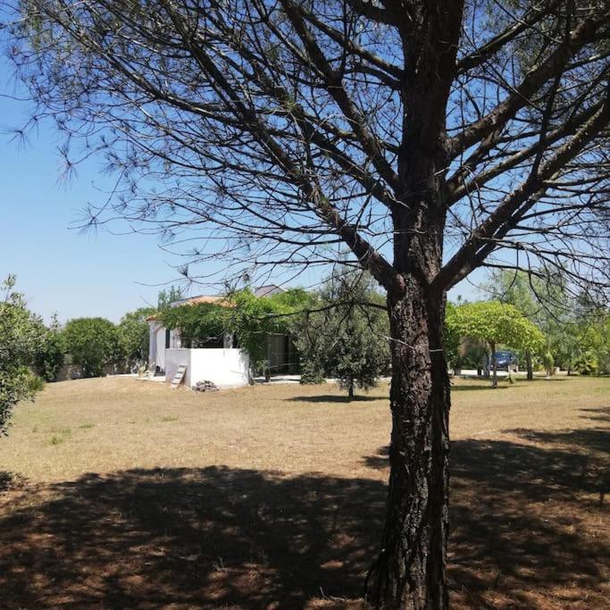Villa Del Glicine Muro Leccese Buitenkant foto